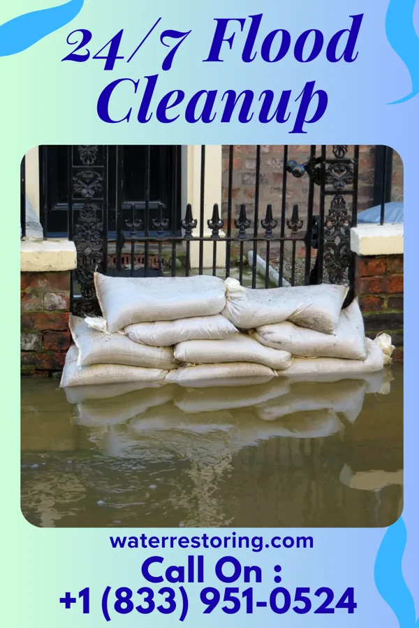 24/7 Flood Cleanup in Chalybeate, MS