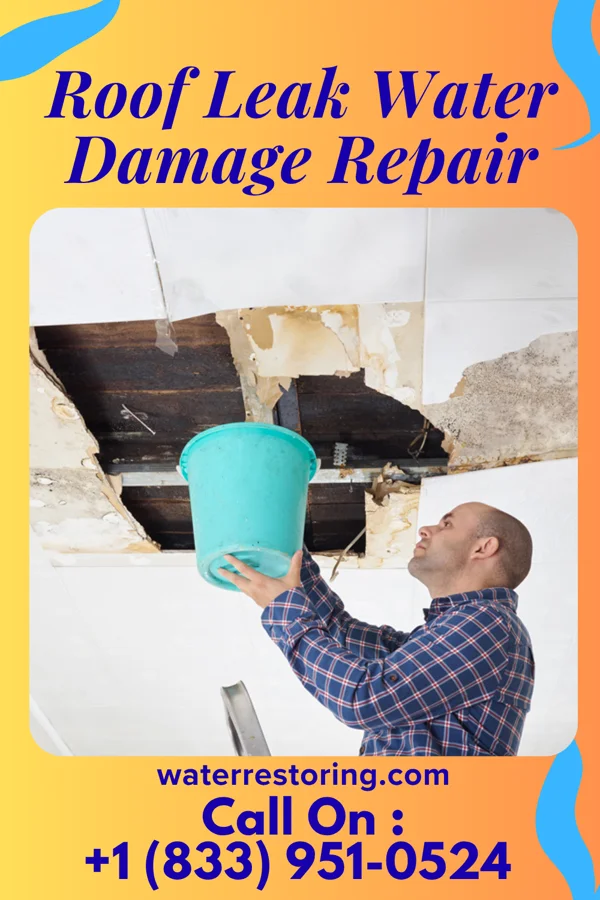 Roof Leak Water Damage Repair in Chalybeate, MS