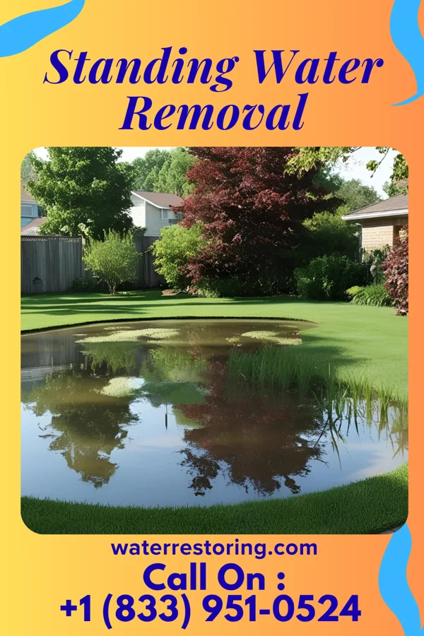 Standing Water Removal in Chalybeate, MS